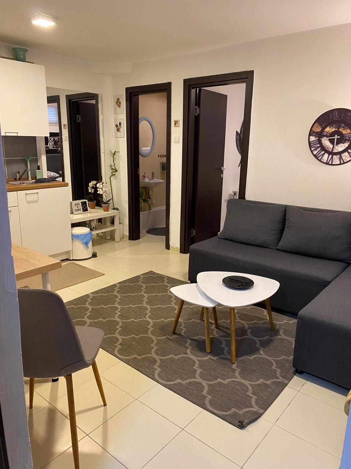 N6 Apartment ノヴィ・サド エクステリア 写真