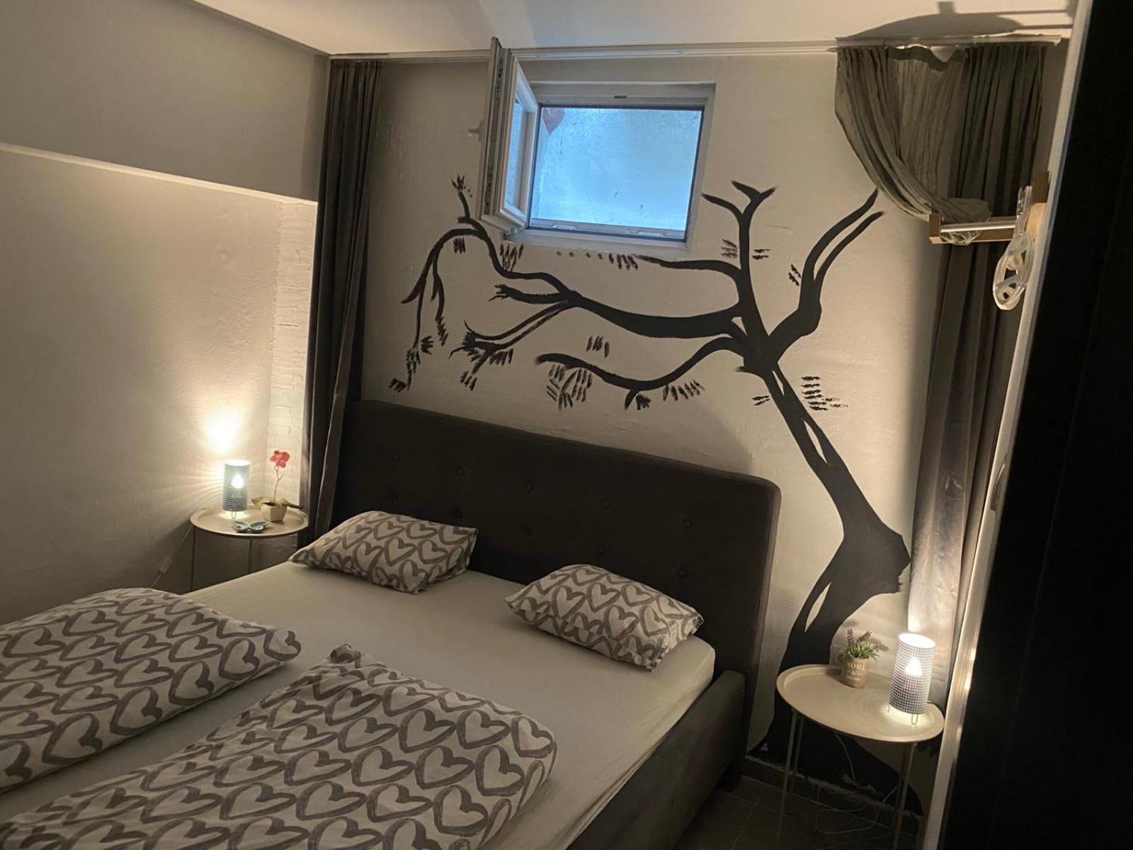N6 Apartment ノヴィ・サド エクステリア 写真