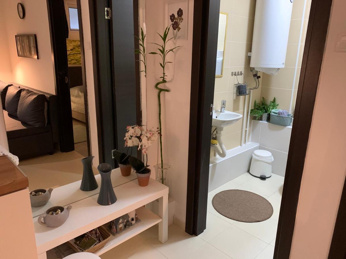 N6 Apartment ノヴィ・サド エクステリア 写真